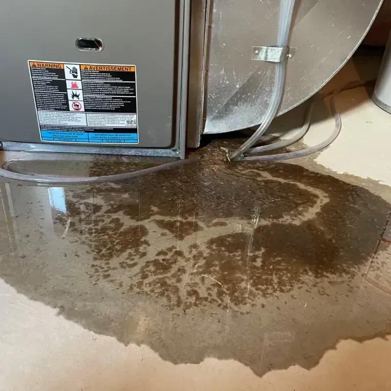 Appliance Leak Cleanup in Middlefield, OH